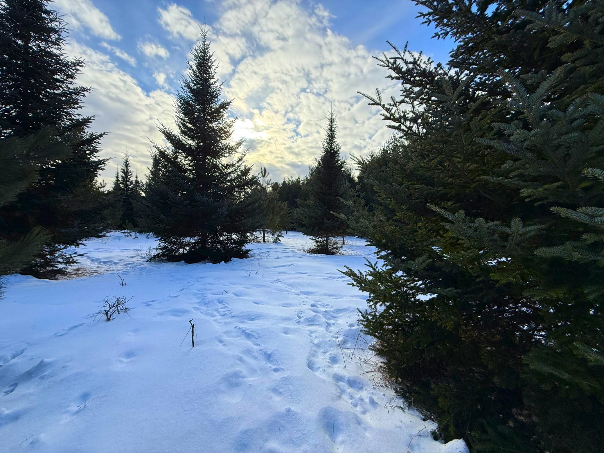 Tbd Sand River Road Hinckley, MN 55037 - Photo 53 of 82