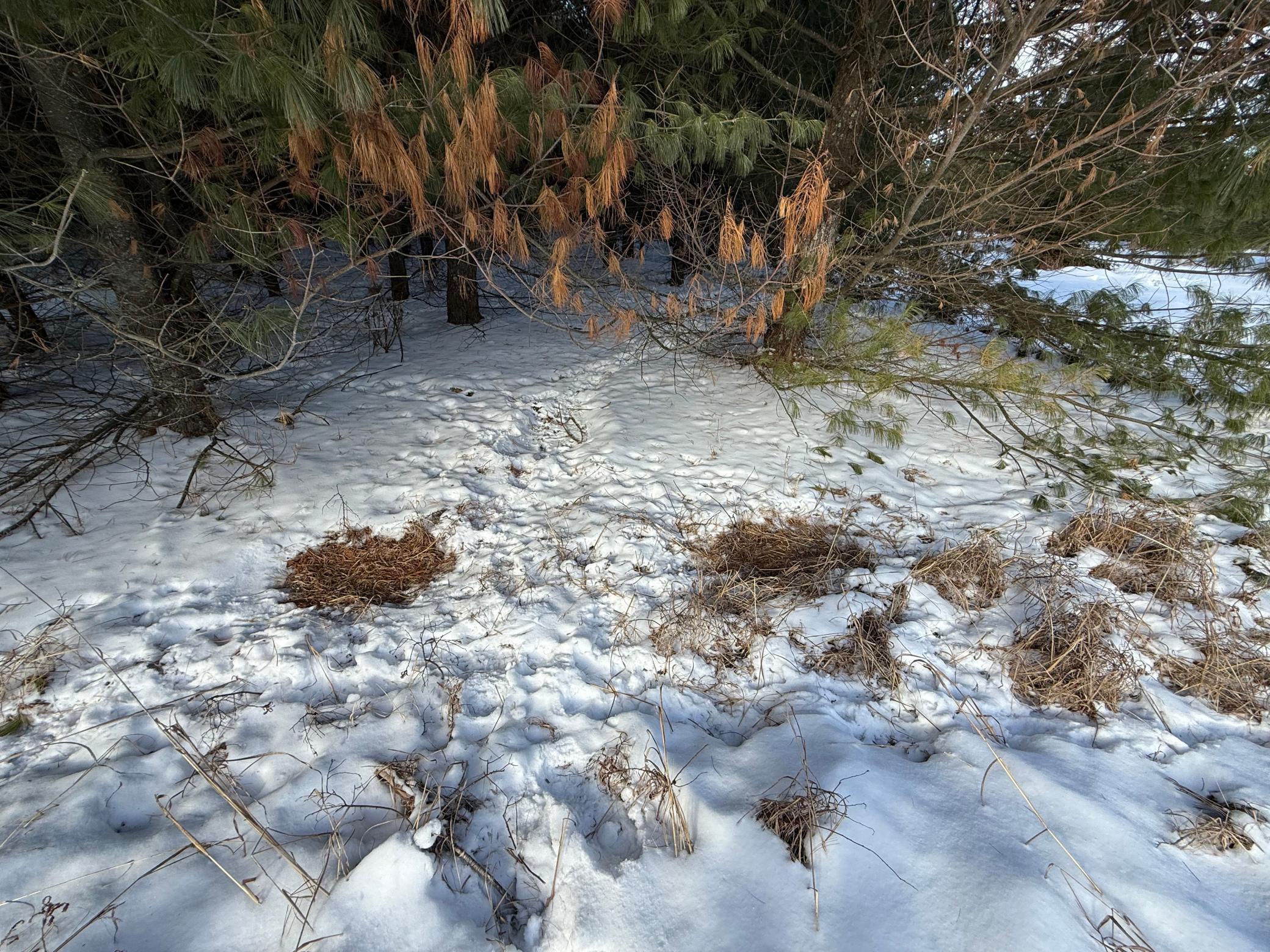 Tbd Sand River Road Hinckley, MN 55037 - Photo 54 of 82