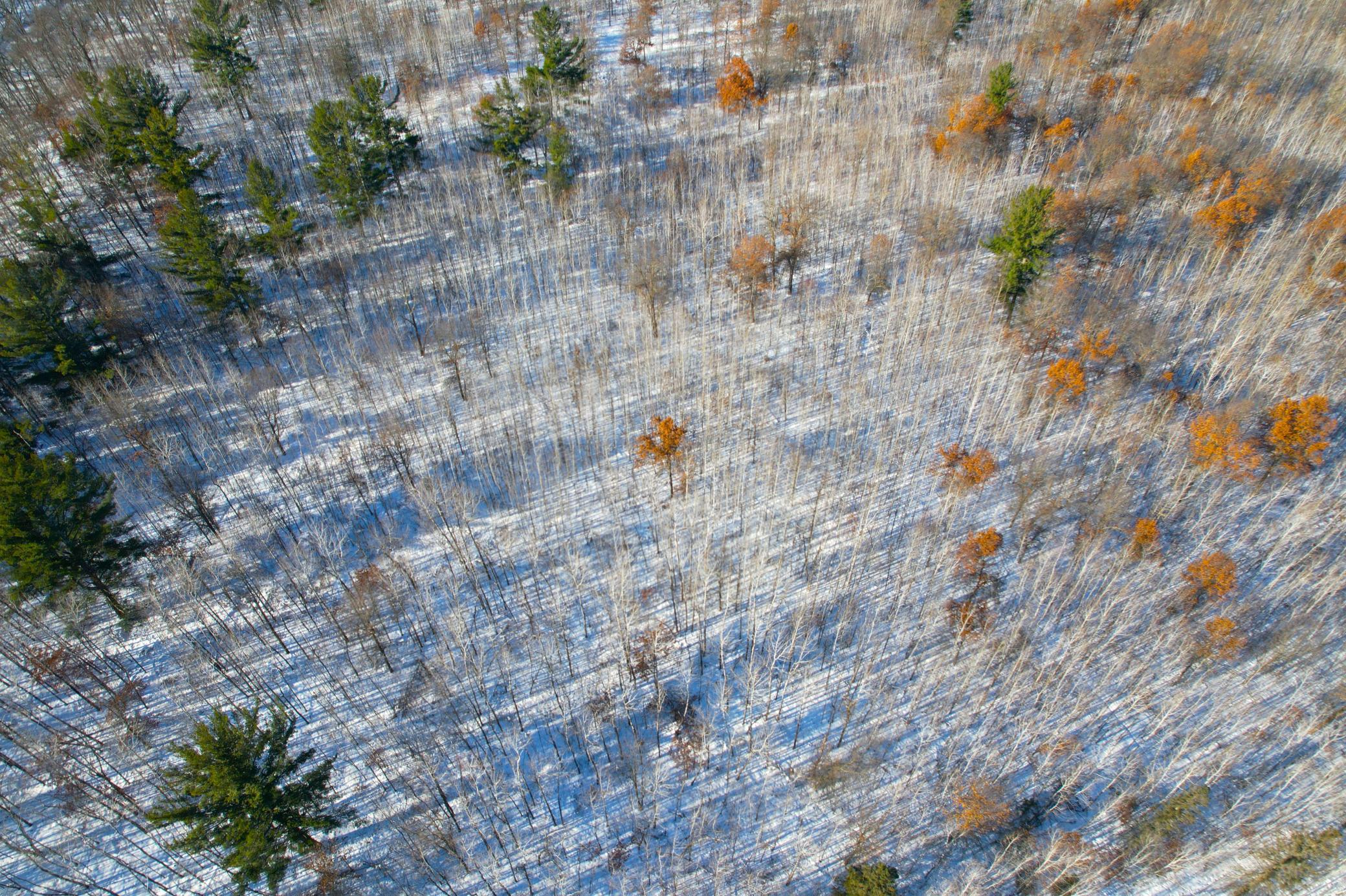 Tbd Sand River Road Hinckley, MN 55037 - Photo 64 of 82