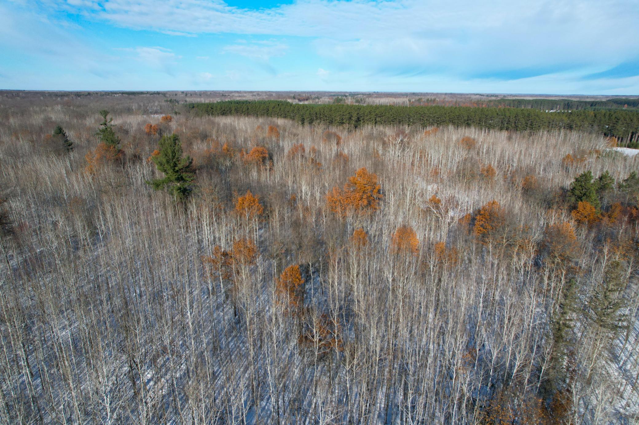 Tbd Sand River Road Hinckley, MN 55037 - Photo 65 of 82