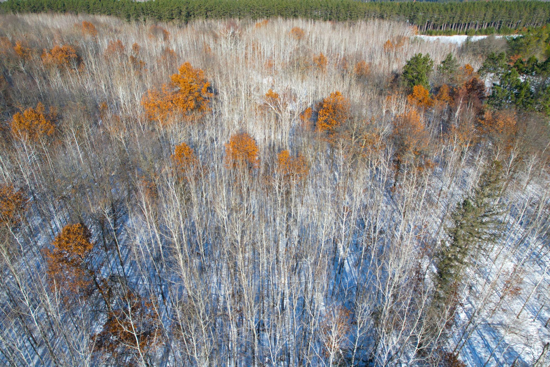 Tbd Sand River Road Hinckley, MN 55037 - Photo 66 of 82