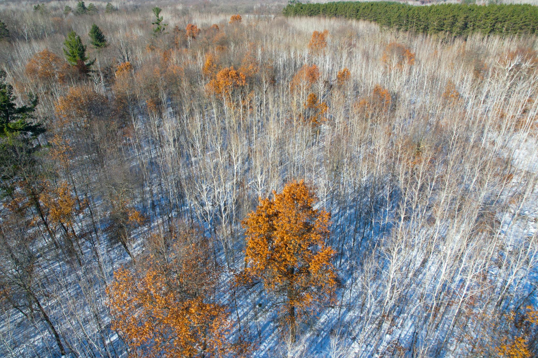 Tbd Sand River Road Hinckley, MN 55037 - Photo 67 of 82