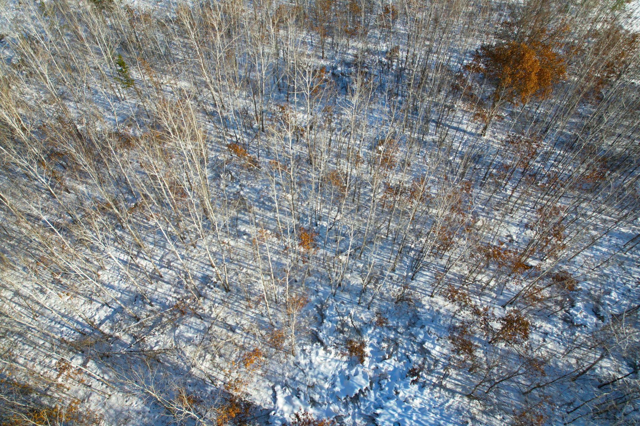 Tbd Sand River Road Hinckley, MN 55037 - Photo 69 of 82