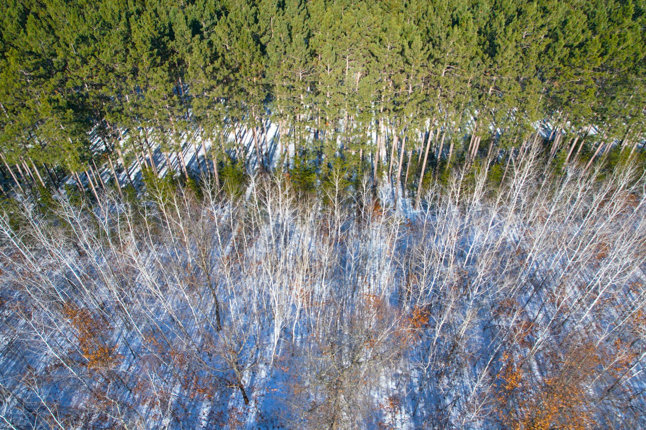 Tbd Sand River Road Hinckley, MN 55037 - Photo 70 of 82