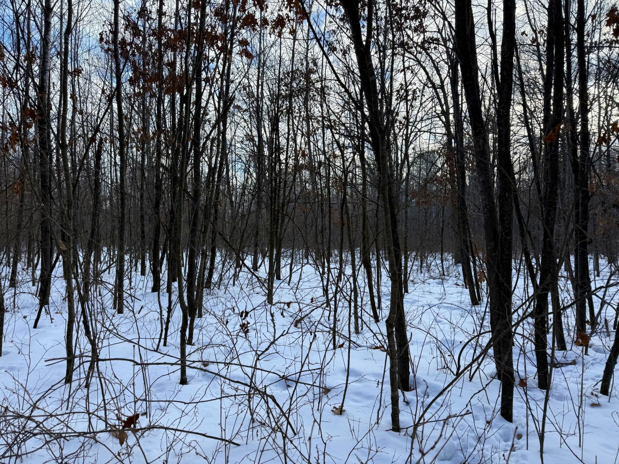 Tbd Sand River Road Hinckley, MN 55037 - Photo 7 of 82