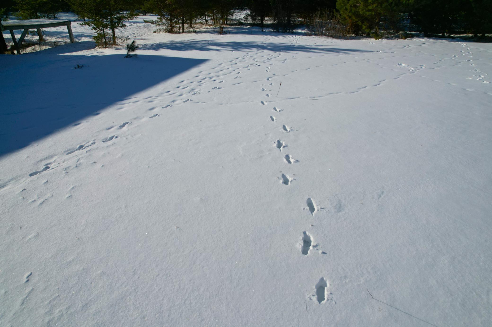 Tbd Sand River Road Hinckley, MN 55037 - Photo 76 of 82