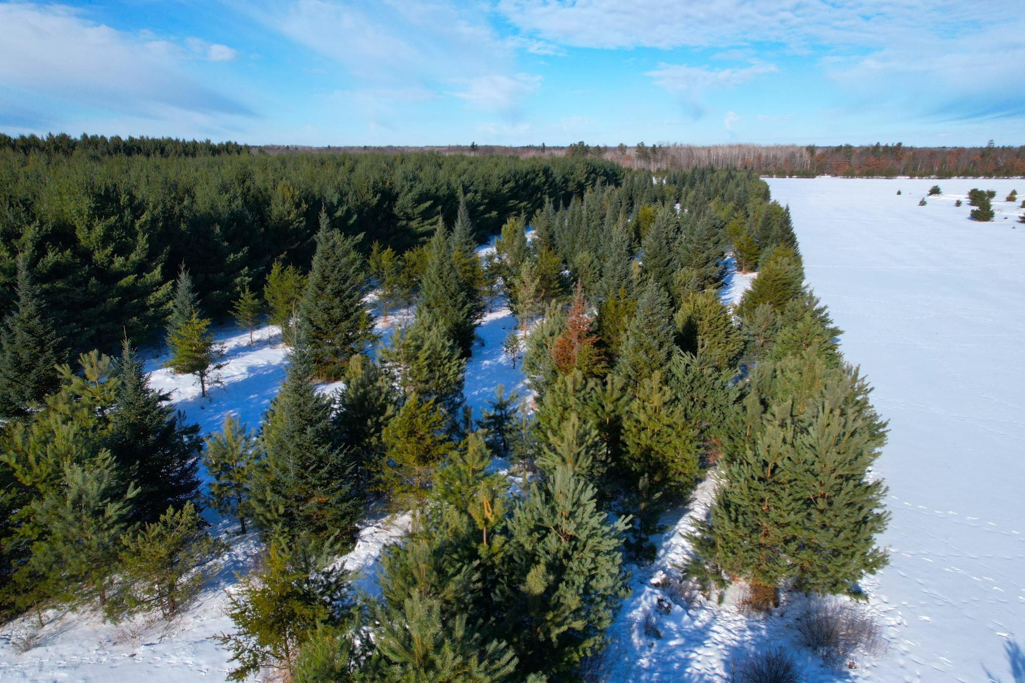 Tbd Sand River Road Hinckley, MN 55037 - Photo 77 of 82