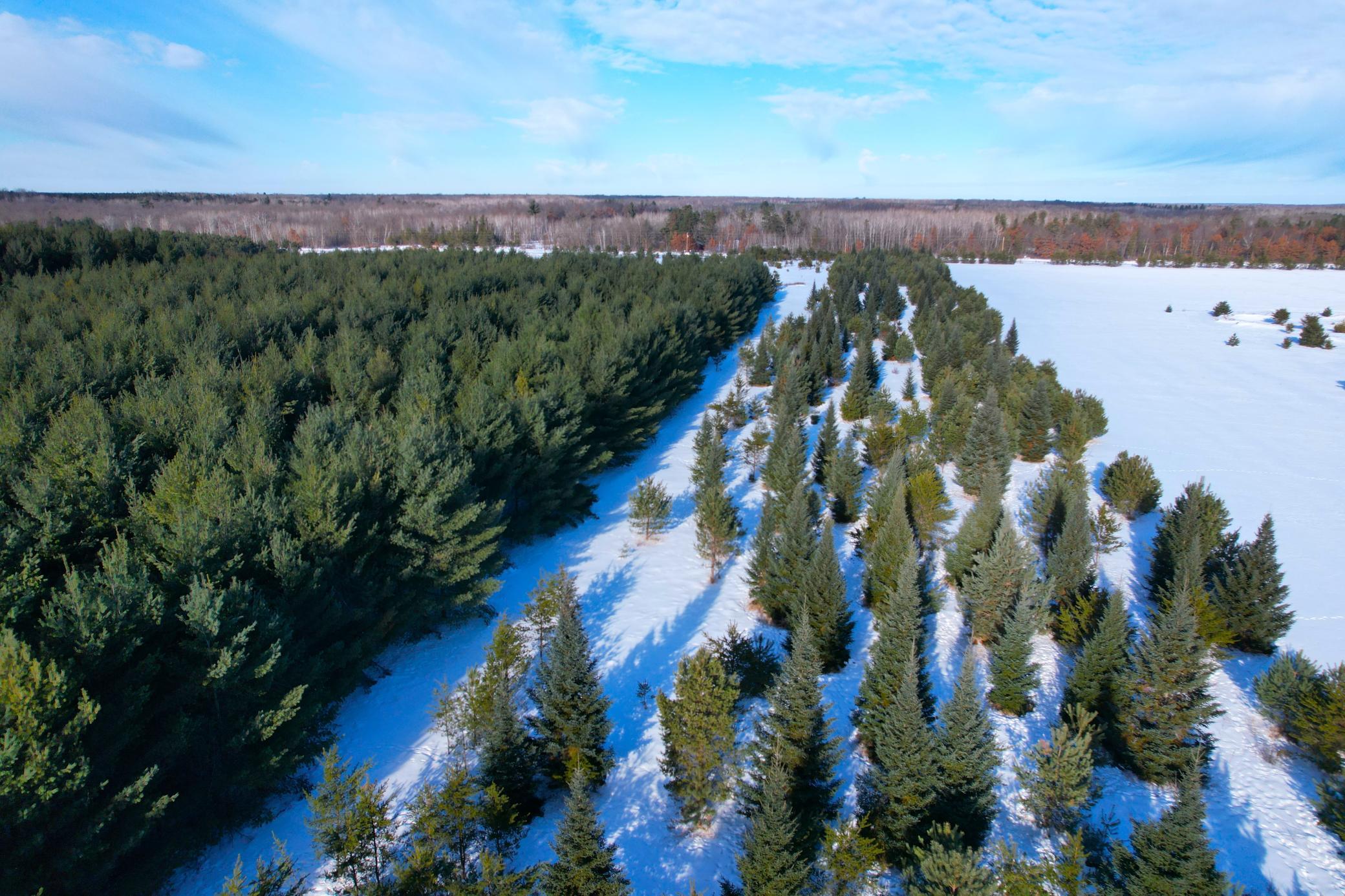 Tbd Sand River Road Hinckley, MN 55037 - Photo 78 of 82