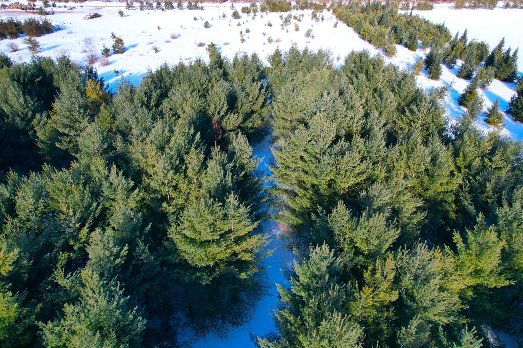 Tbd Sand River Road Hinckley, MN 55037 - Photo 80 of 82