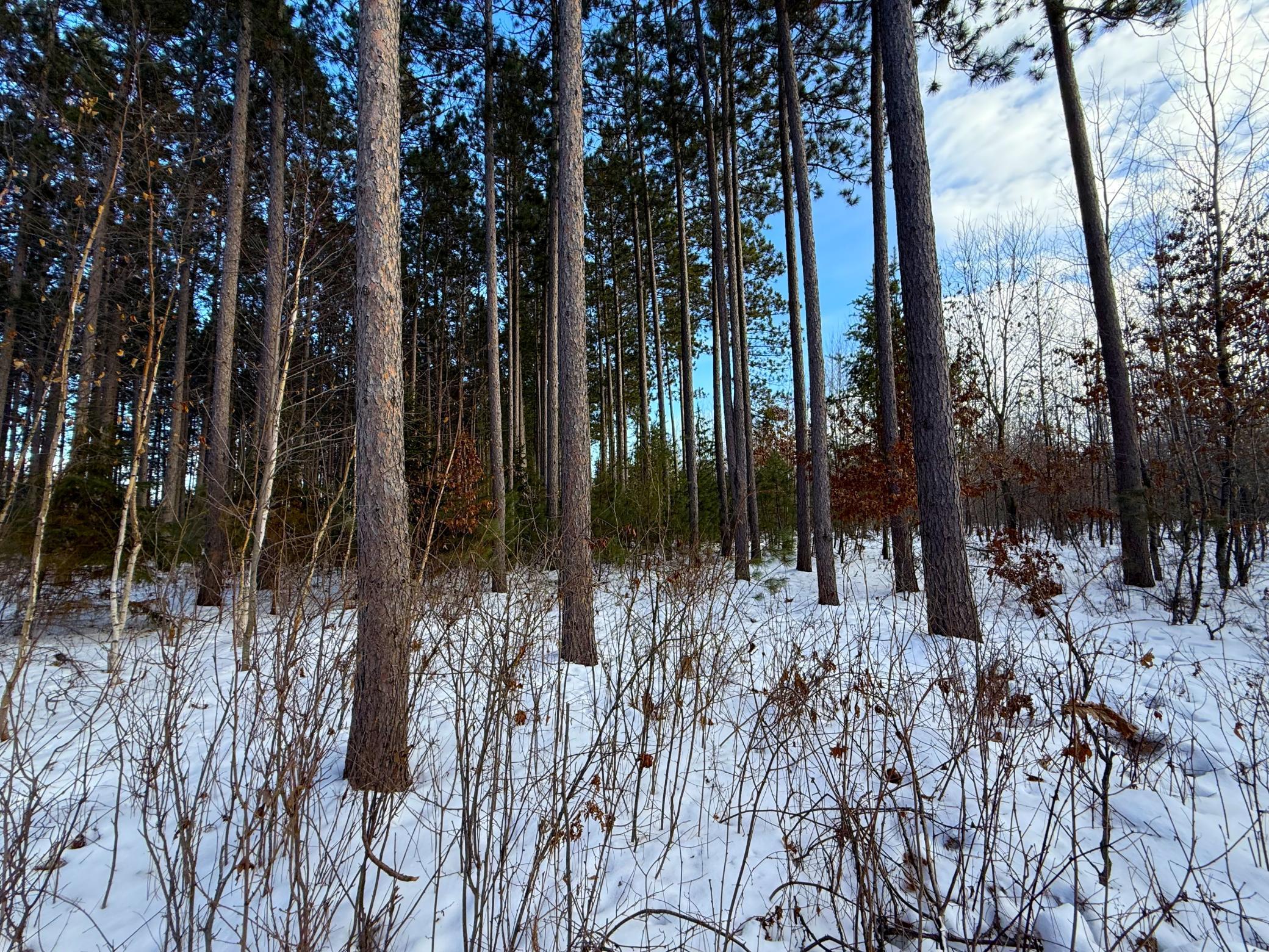 Tbd Sand River Road Hinckley, MN 55037 - Photo 8 of 82