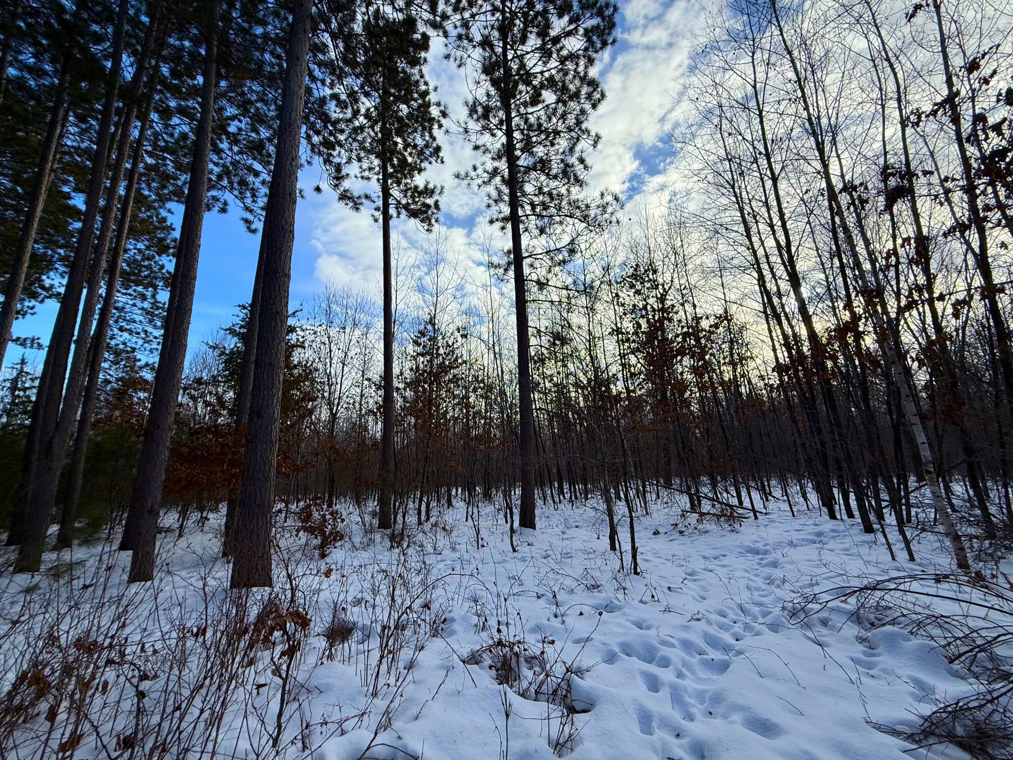 Tbd Sand River Road Hinckley, MN 55037 - Photo 9 of 82
