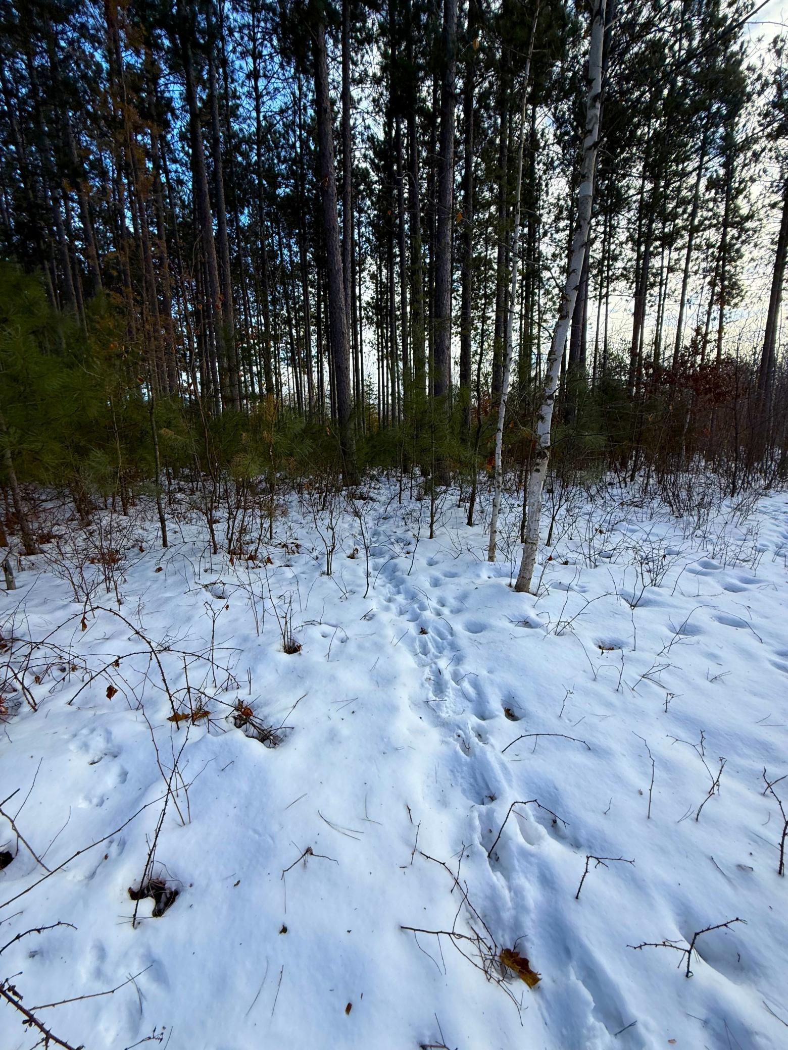 Tbd Sand River Road Hinckley, MN 55037 - Photo 10 of 82