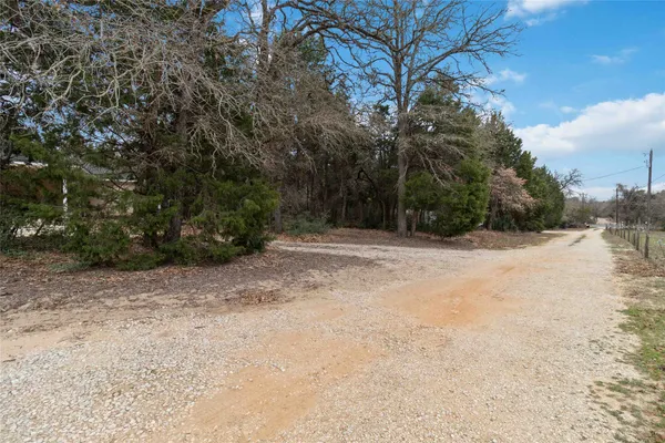 a view of backyard with large trees