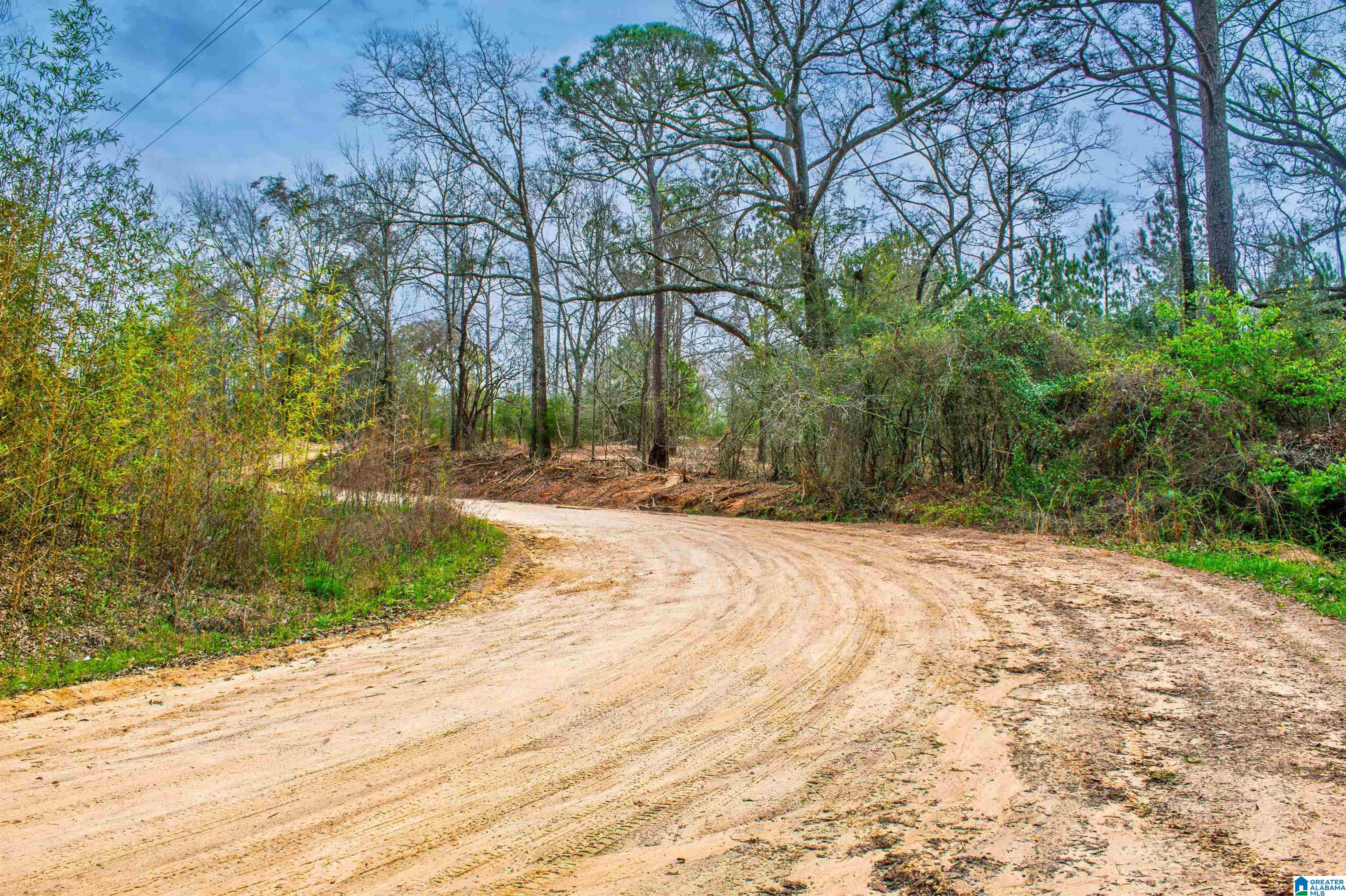 27180 Deer Run Road Opp, AL 36467 - Photo 47 of 60