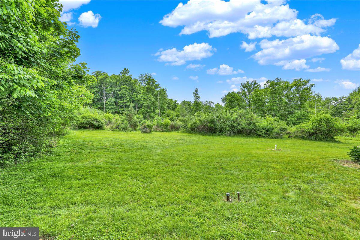 283 Witmer Road Mohnton, PA 19540 - Photo 45 of 49 Side yard