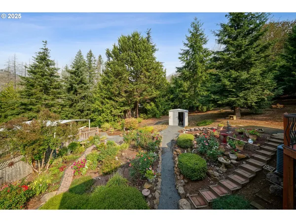 a view of a garden with a tree
