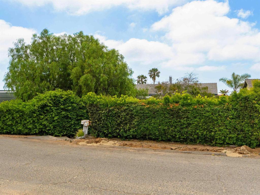 852 Dewitt Avenue Encinitas, CA 92024 - Photo 40 of 41 a view of a garden
