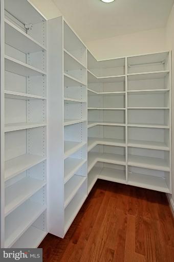 7003 Springville Court Springfield, VA 22150 - Photo 22 of 30 Large Pantry Closet in Kitchen