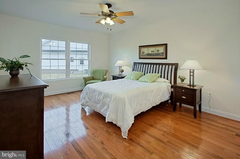 7003 Springville Court Springfield, VA 22150 - Photo 23 of 30 First Floor Easy-Access Bedroom