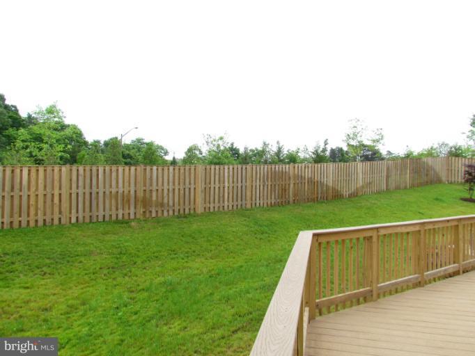 7003 Springville Court Springfield, VA 22150 - Photo 29 of 30 Backyard