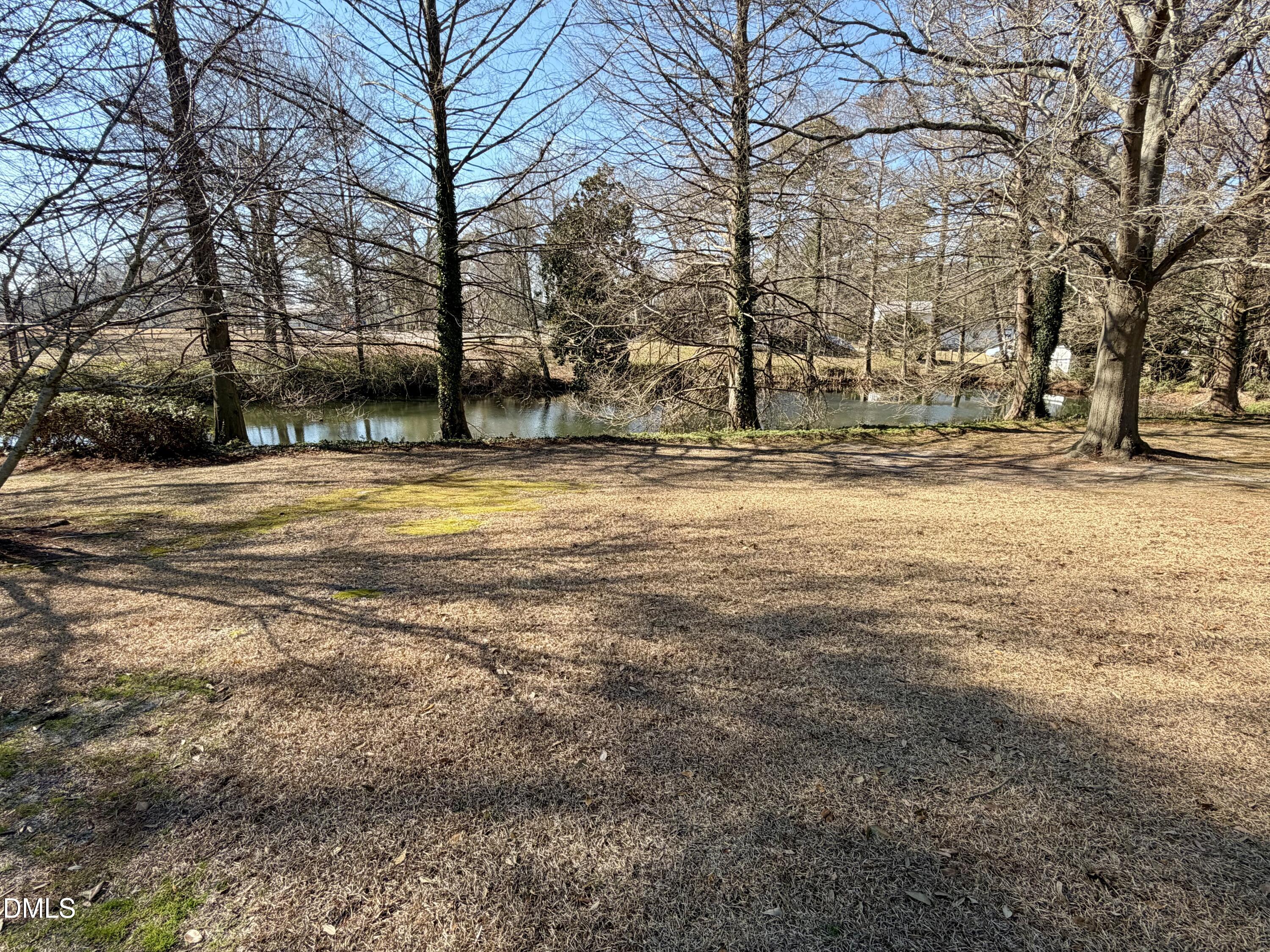 173 Park Circle Faison, NC 28341 - Photo 2 of 55 IMG_0954 - Copy