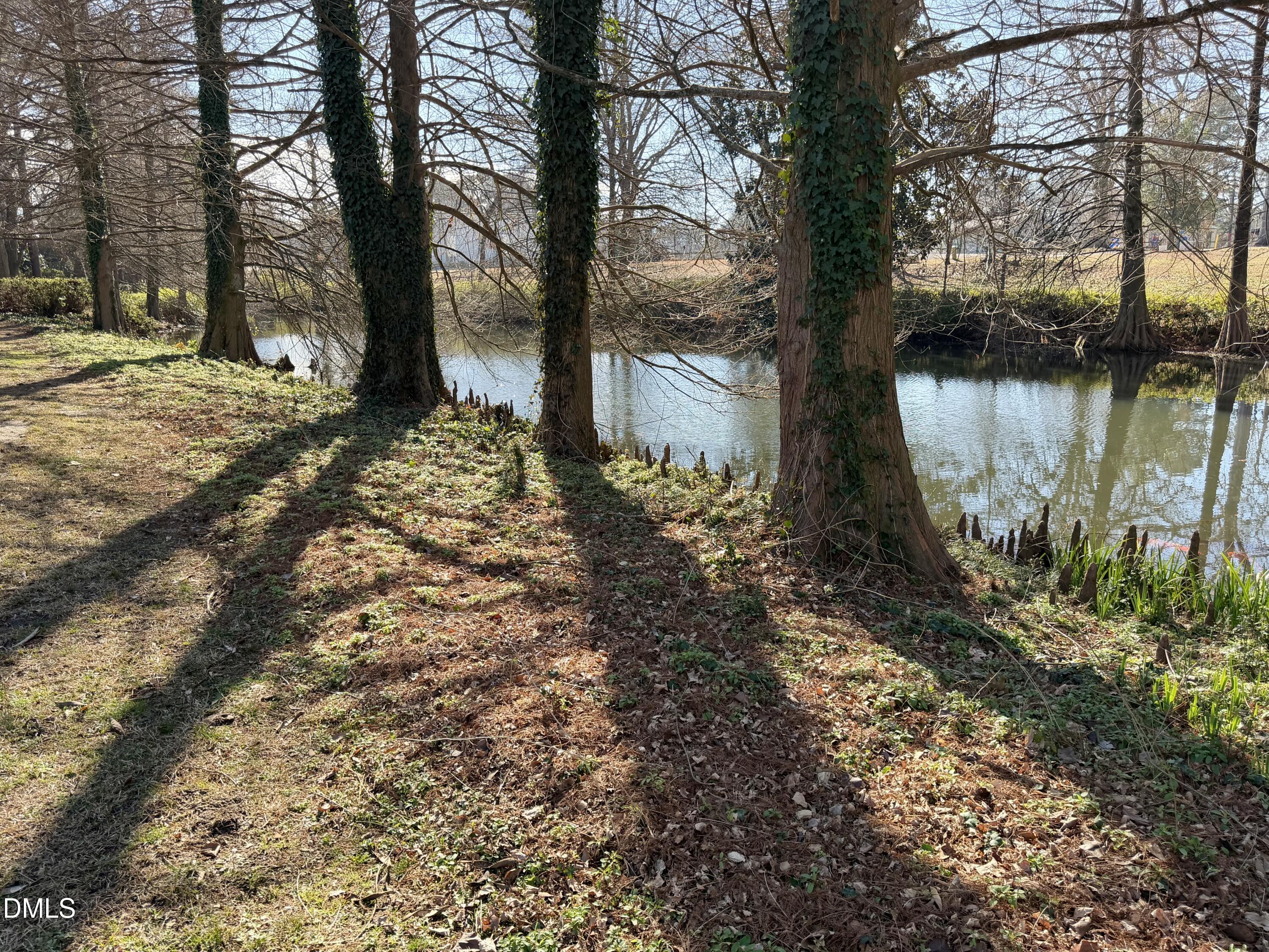 173 Park Circle Faison, NC 28341 - Photo 3 of 56 a backyard of a house with lots of green space