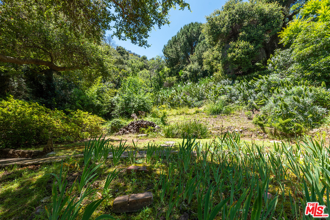 1491 Stone Canyon Road Los Angeles, CA 90077 - Photo 19 of 27 a lush green forest with lots of trees