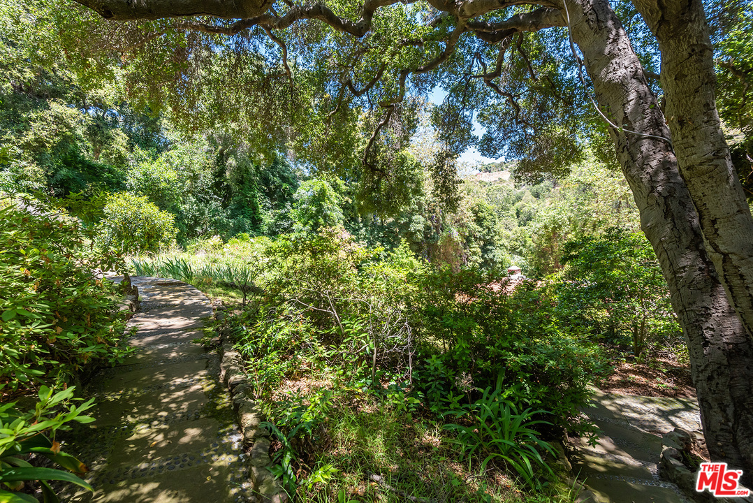 1491 Stone Canyon Road Los Angeles, CA 90077 - Photo 21 of 27 a view of a tree in a yard