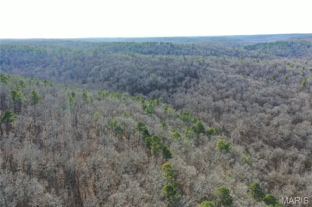 $802,500 | 4883 Forest Road 4883, Doniphan, MO 63935