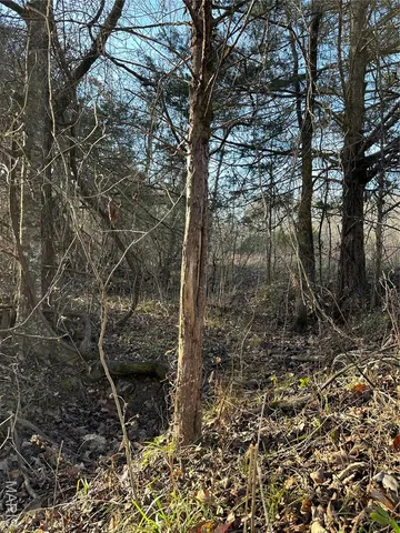 $802,500 | 4883 Forest Road 4883, Doniphan, MO 63935