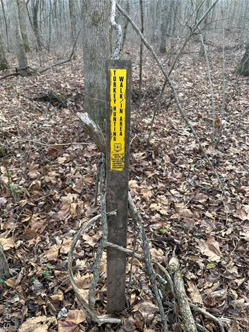 $802,500 | 4883 Forest Road 4883, Doniphan, MO 63935