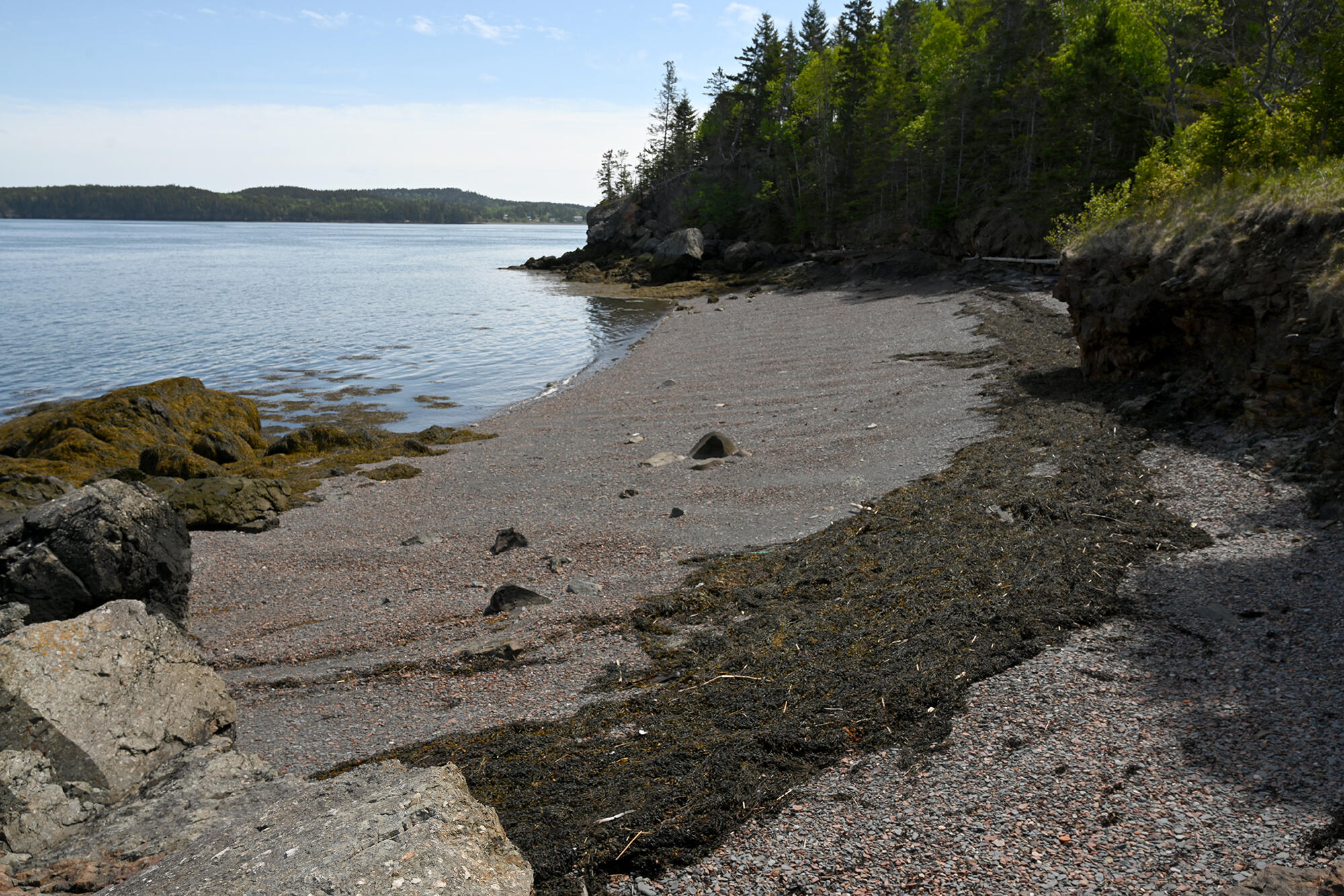 45 Kendall Head Road Eastport, ME 04631 - Photo 9 of 117 Outside05a_DSC_9158