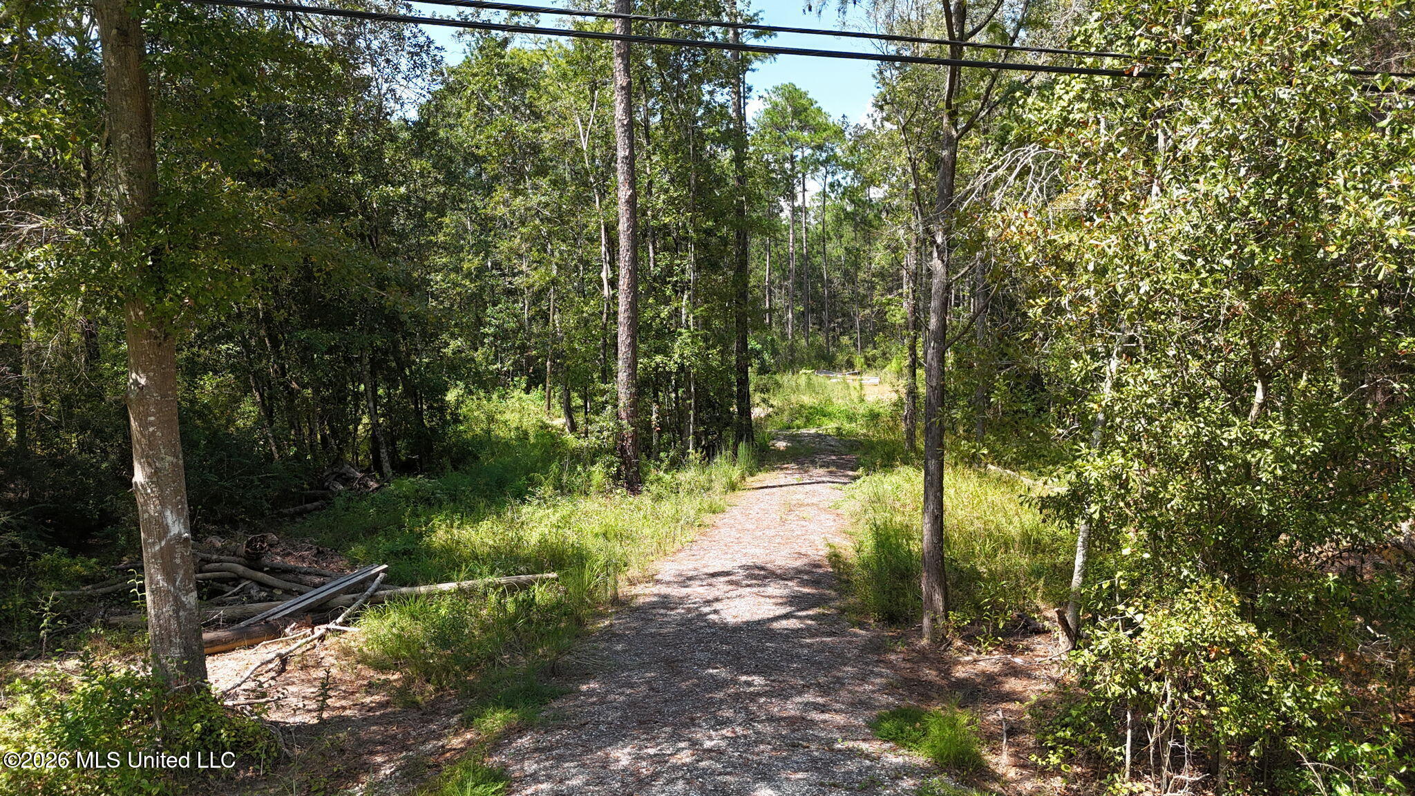 0 Sycamore Road Carriere, MS 39426 - Photo 5 of 13 1-web-or-mls-dji_fly_20260923_130314_067