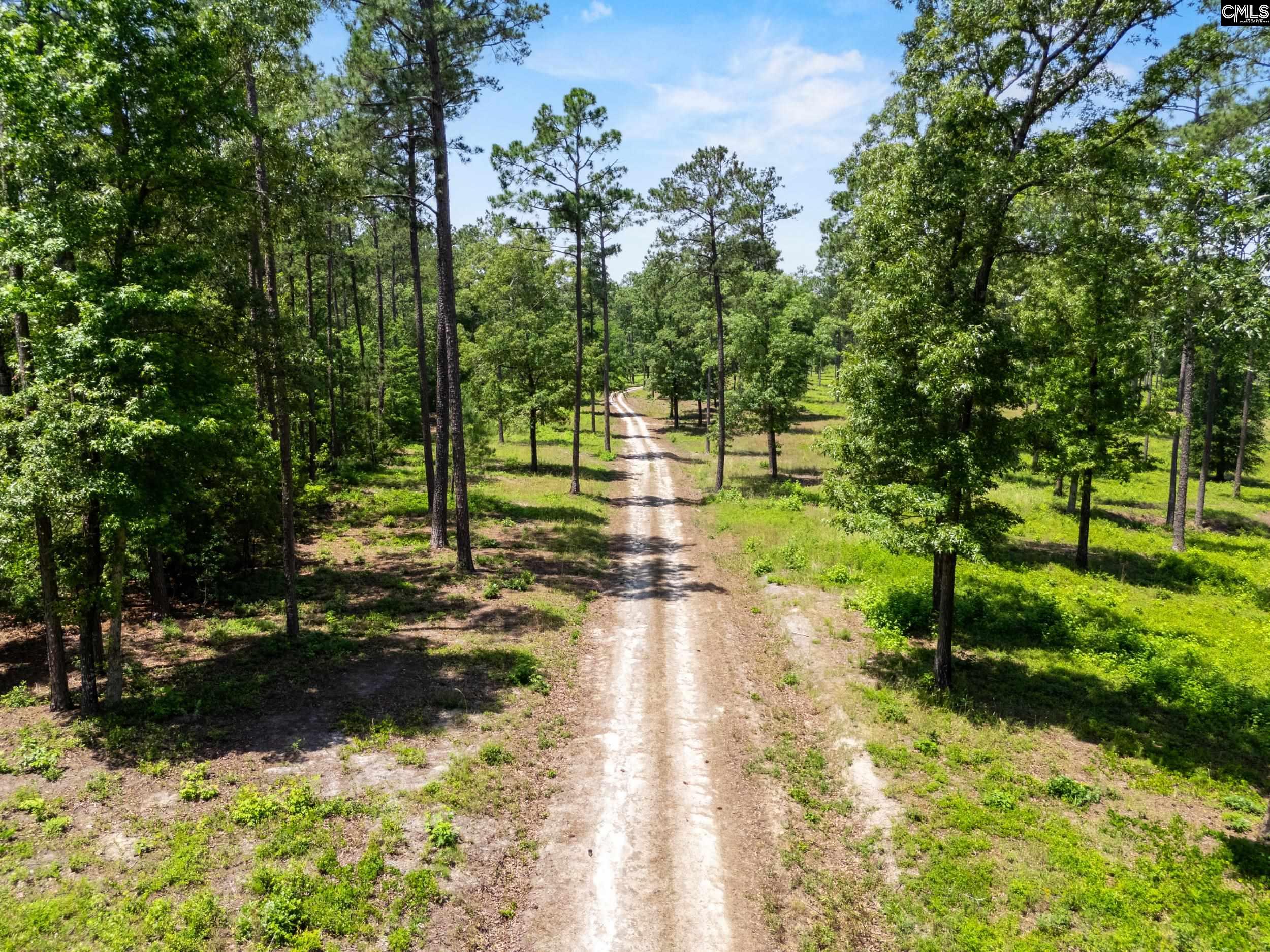 1626-01 Sumter Highway Rembert, SC 29128 - Photo 10 of 16