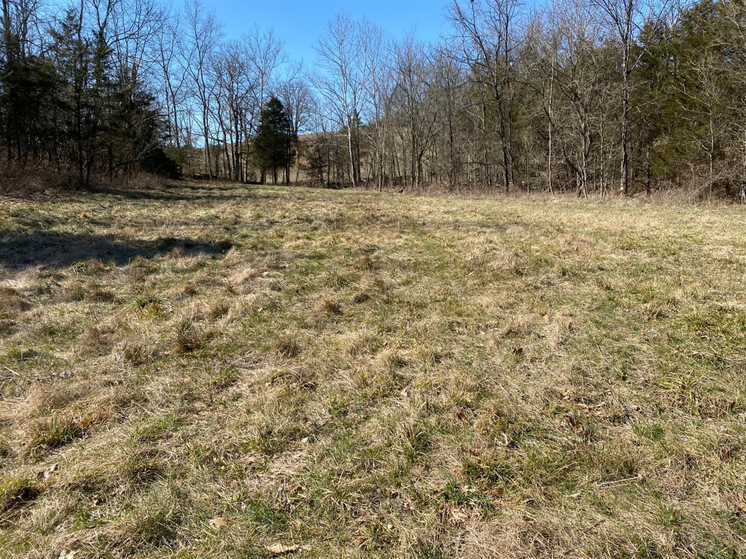 0 Denny Road Corinth, KY 41010 - Photo 9 of 18 Photo 9