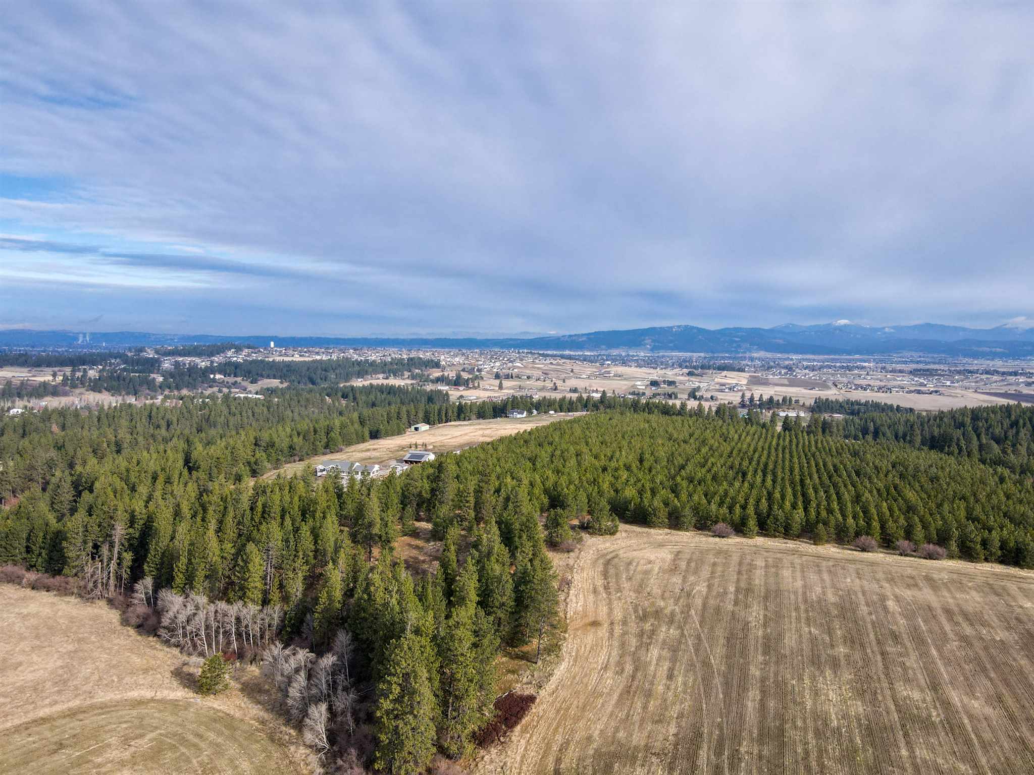 45-xx South Linke Road Greenacres, WA 99016 - Photo 9 of 21