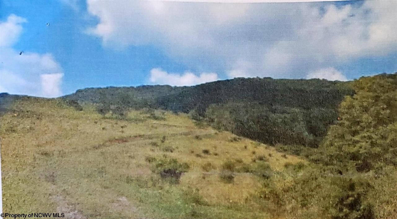 0 Windy Mountain Road Harman, WV 26270 - Photo 3 of 9 Gallery Image 3