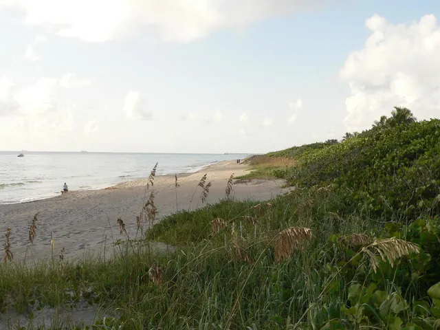 a view of beach and ocean