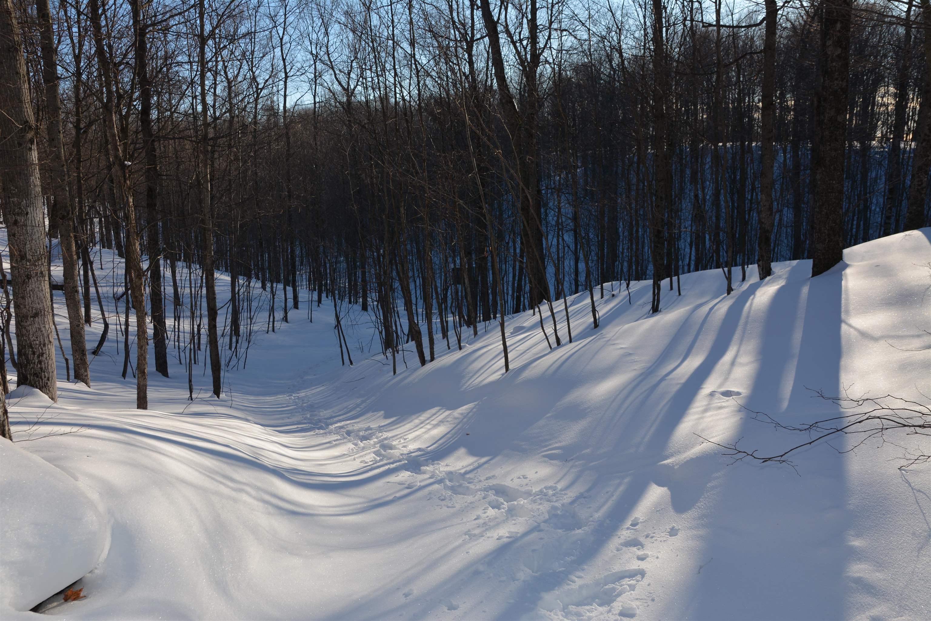 0 South Schomberg Road Cedar, MI 49621 - Photo 43 of 70