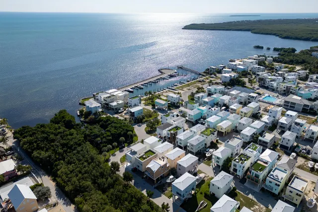 an aerial view of multiple house