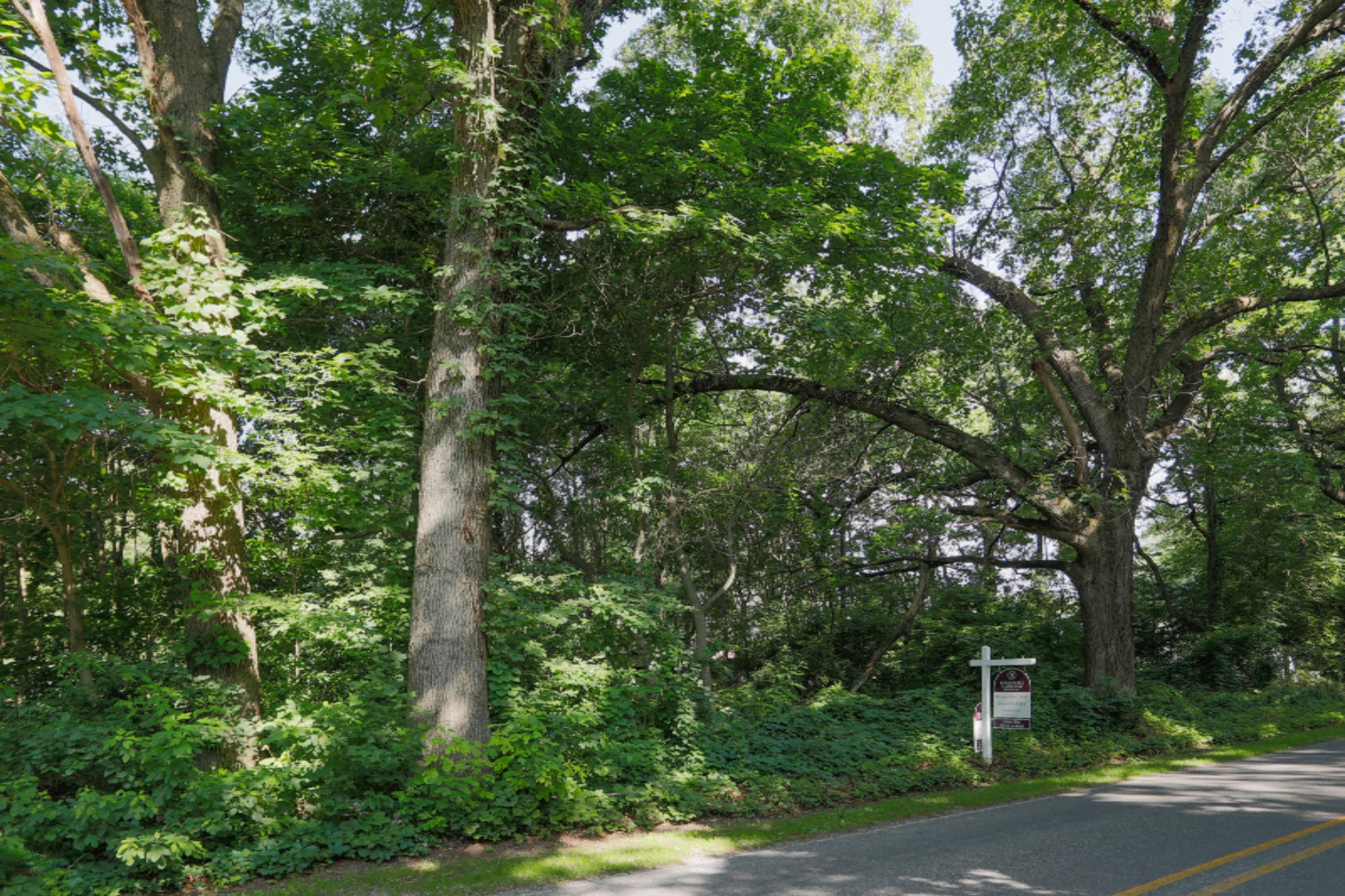 Three Rivers Mi 49093 Road Marcellus, MI 49067 - Photo 1 of 5 VL Day Road-101