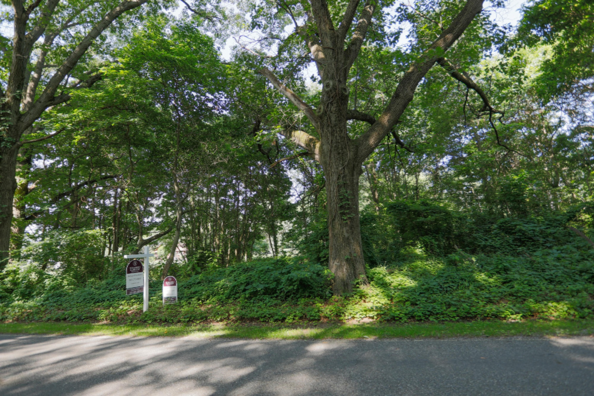 Three Rivers Mi 49093 Road Marcellus, MI 49067 - Photo 2 of 5 VL Day Road-102