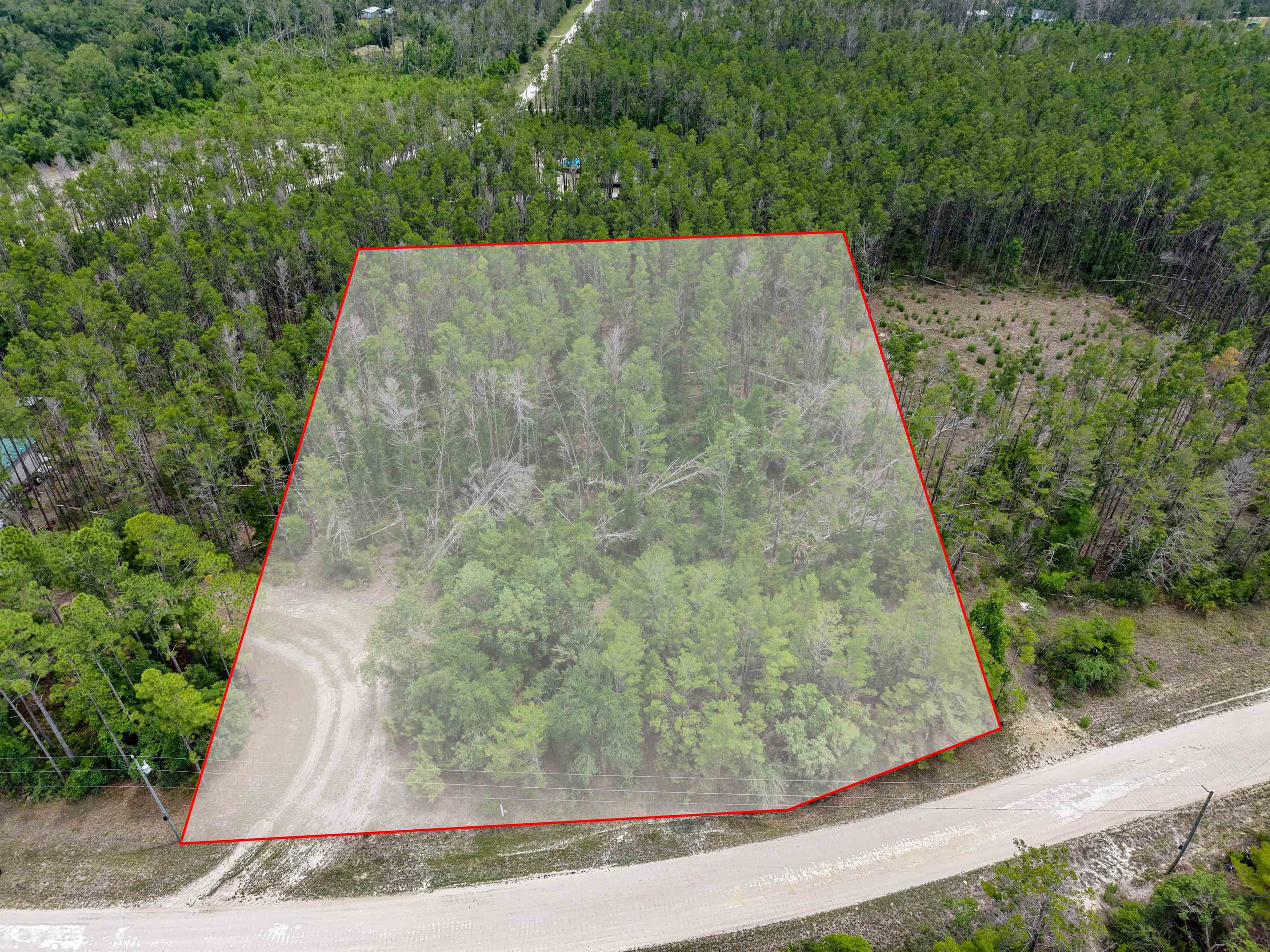 Tbd Ocean Pond Road Perry, FL 32348 - Photo 1 of 21
