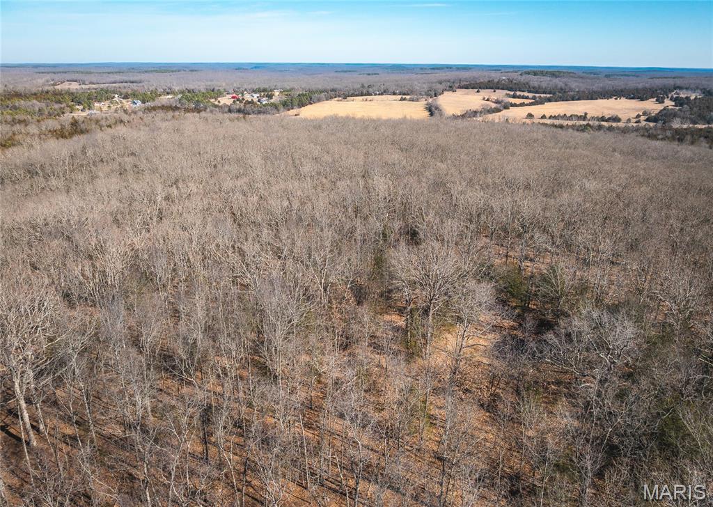 37118 Willow Road Plato, MO 65552 - Photo 38 of 45