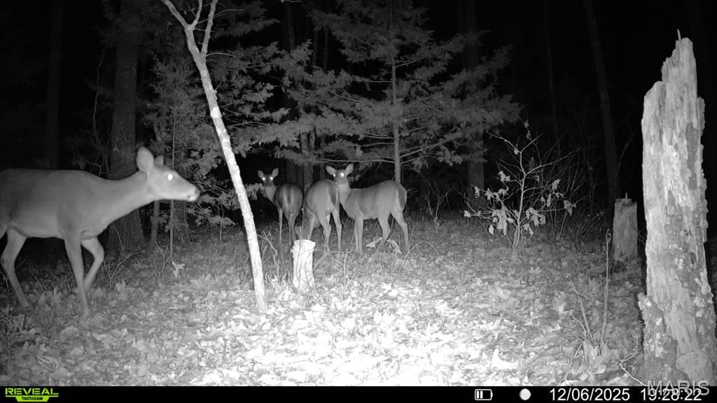 37118 Willow Road Plato, MO 65552 - Photo 45 of 45