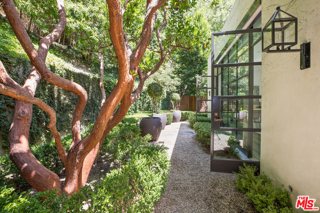 1192 Cabrillo Drive Beverly Hills, CA 90210 - Photo 17 of 43 a view of a yard with plants and large trees