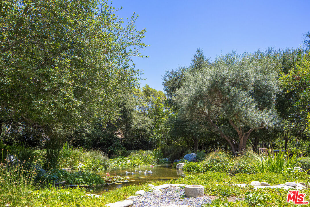 1192 Cabrillo Drive Beverly Hills, CA 90210 - Photo 35 of 43 a view of a garden with a tree