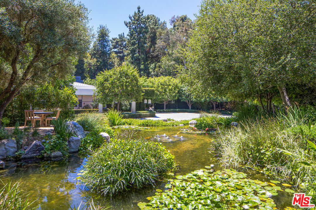 1192 Cabrillo Drive Beverly Hills, CA 90210 - Photo 5 of 43 a swimming pool with trees in the background