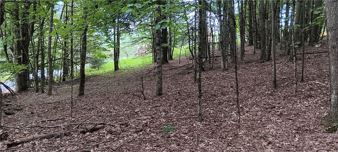 185 Eagle Mountain Road Summit, NY 12175 - Photo 11 of 15