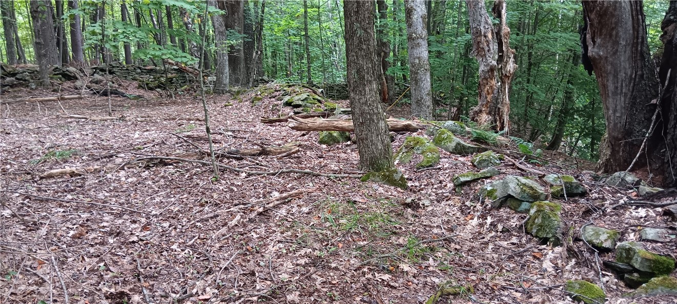 185 Eagle Mountain Road Summit, NY 12175 - Photo 12 of 15